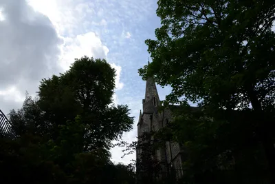 DSC_2770 (Large).JPG